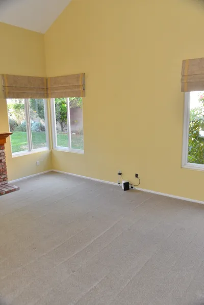 DSC_7347 (Large).JPG